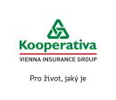 kooperativa